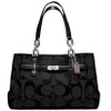 buy used Women's Handbags & Bags Coach Chelsea Signature Jayden Carryall